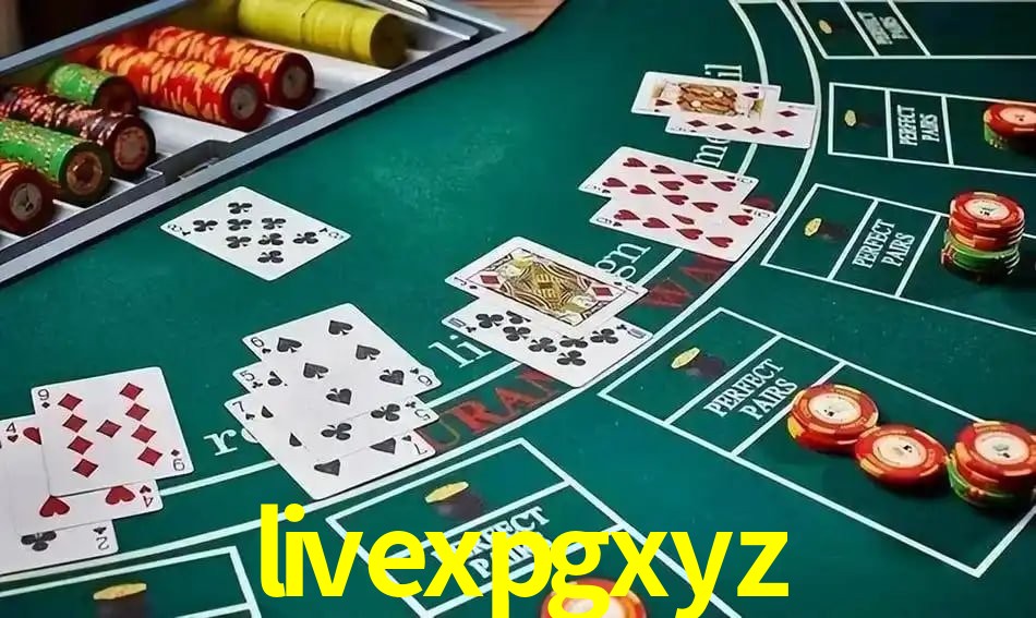 Canal oficial no Telegram da livexpgxyz