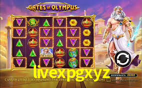 livexpgxyz,livexpg bet