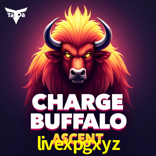 Descubra a Essência do livexpgxyz: Nossa História e Compromissos